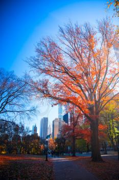 New York City Manhattan Central Park panorama in Autumn lake with skyscrapers and colorful trees with reflection.