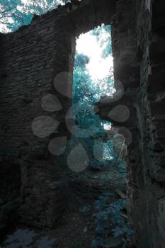ruins of an old house in the woods more often