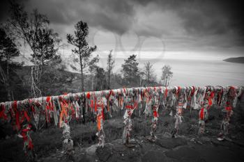 Baikal ribbons on the tree. Photo black and white with red