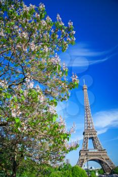 Eiffel Tower in Paris on a sunny summer day.