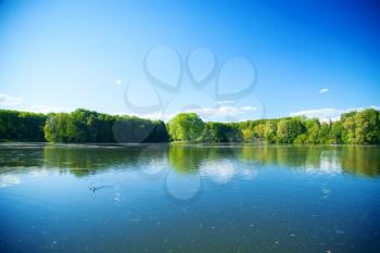 River flowing in the woods on a sunny summer day. The European landscape