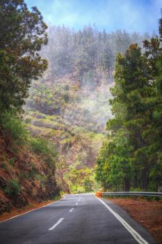 road in the clouds in the mountains. Tenerife, Spain, Europe