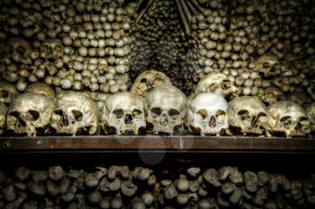 Human bones and skulls in the Sedlec Ossuary near Kutna Hora, Czech Republic.