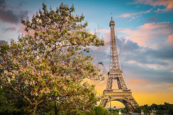 Eiffel Tower in the evening, Paris, France