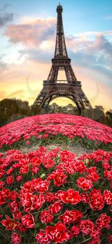 Paris, flowers and Eiffel tower. fisheye lens