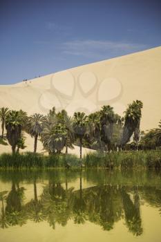 Oasis surrounded by sand dunes near Ica Peru