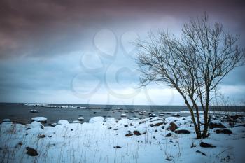 Winter sea. cold dark day in Northern Europe