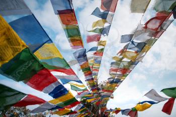 Many colorful waving prayer flags suspended between trees