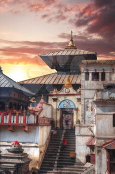 Freely walk monkey. Votive temples and shrines in a row at Pashupatinath Temple, Kathmandu, Nepal.