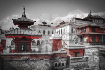 Freely walk monkey. Votive temples and shrines in a row at Pashupatinath Temple, Kathmandu, Nepal. black and white photography