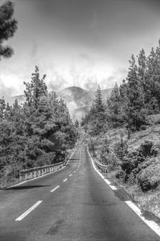 road in the clouds in the mountains. Tenerife, Spain, Europe. black and white photography. minimalism