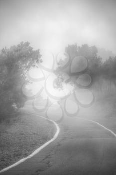 road in the clouds in the mountains. Tenerife, Spain, Europe . black and white photography. minimalism