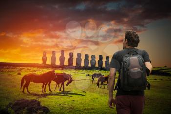 A traveler with a backpack. Horse on Easter Island at sunset walk around statues