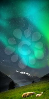 Polar lights, aurora. Milky Way. goats in the mountains. in the picturesque fjords of Norway