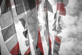 Many colorful waving prayer flags suspended between trees. black and red and white photo