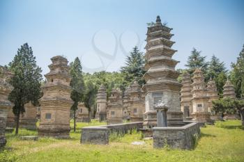 Forest pagodas of the Shaolin Monastery. China