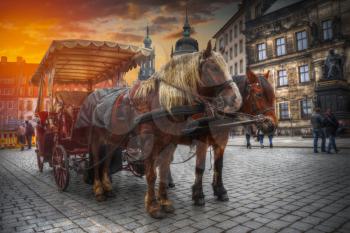 horse cart rides along Dresden. Germany. Europe