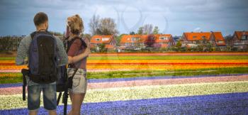 man with a woman traveling through the fields of tulips, the Netherlands