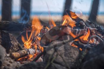 A bonfire burns in a camping in a forest by the sea.