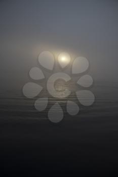 fog at dawn amid the oceanamid the ocean