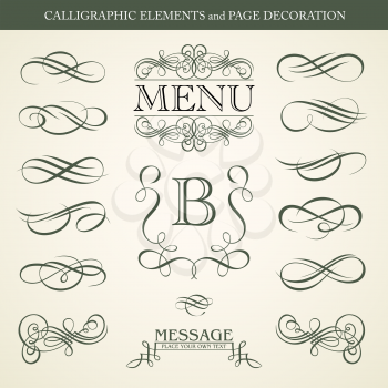 CALLIGRAPHIC ELEMENTS and PAGE DECORATION vector design