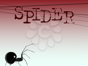 Black Widow Spider Vector