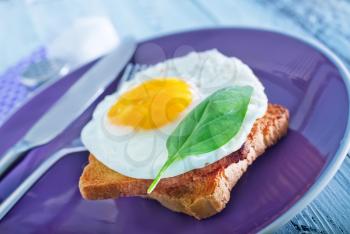 fried egg and toasts for the breakfast