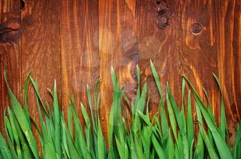 green grass and wooden boards