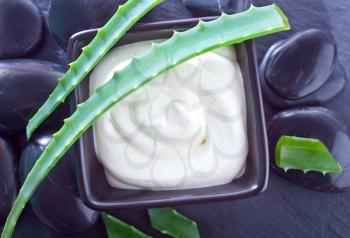 Aloe Vera with Lotion Box on a table