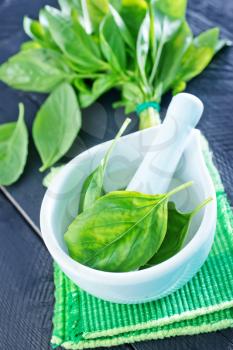 fresh basil in bowl and on a table