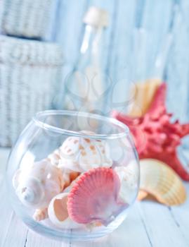 sea shells in glass bowl and on a table