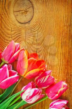 spring backgroun, spring flowers on the wooden table