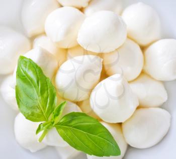 mozzarella and basil on plate and on a table