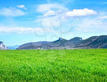 green field and blue sky in Crimea
