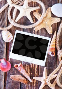 color sea shells and starfish, summer background