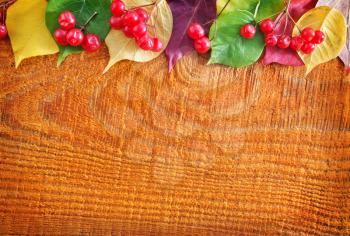 red berry and color autumn leaves on wood