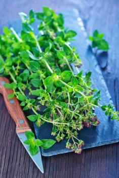 fresh aroma marjoram on the wooden table