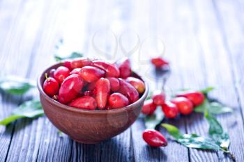 red berries of cornus on a table