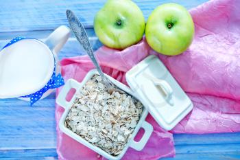oat flakes with apple in the bowl