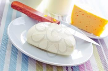 fresh cheese on the white plate
