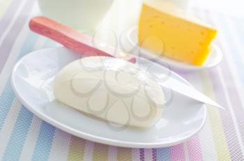 fresh cheese on the white plate