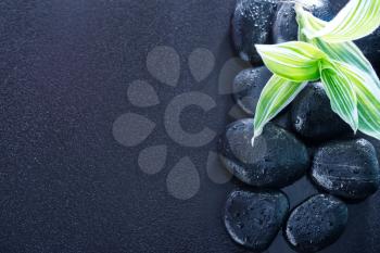 black stones and green leaves on the black table