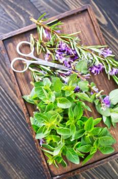 aroma herbs on wooden board and on a table