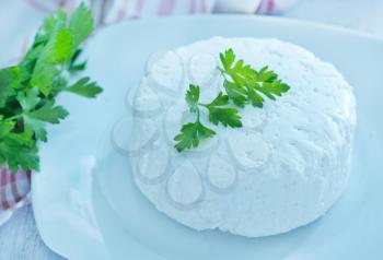 cheese with fresh parsley on the white plate