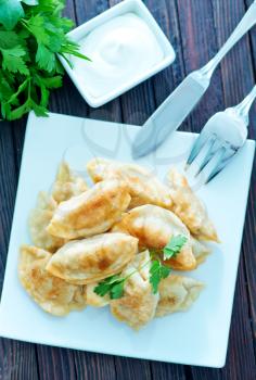fried dumplings on the white plate and on a table