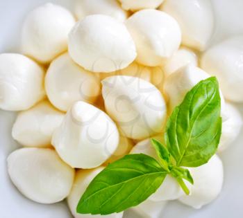 mozzarella and basil on plate and on a table