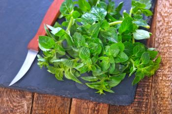 fresh marjoram on black board and on a table