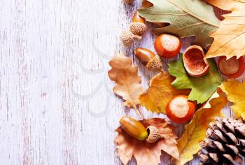 autumn background, autumn nuts and leaves on a table