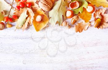 autumn background, autumn nuts and leaves on a table