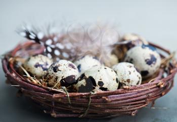 quail eggs in nest and on a table